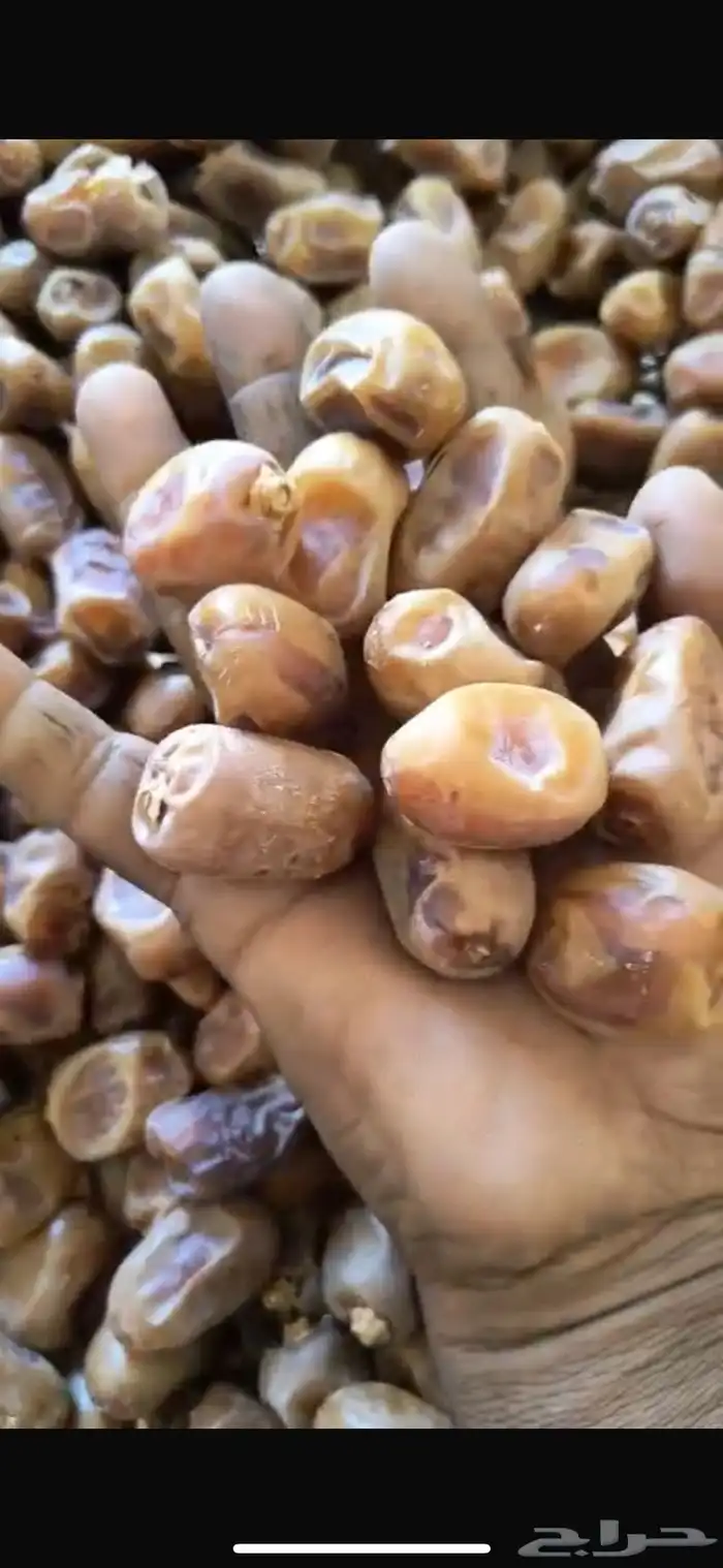 للبيع تمور بأصناف عده 0