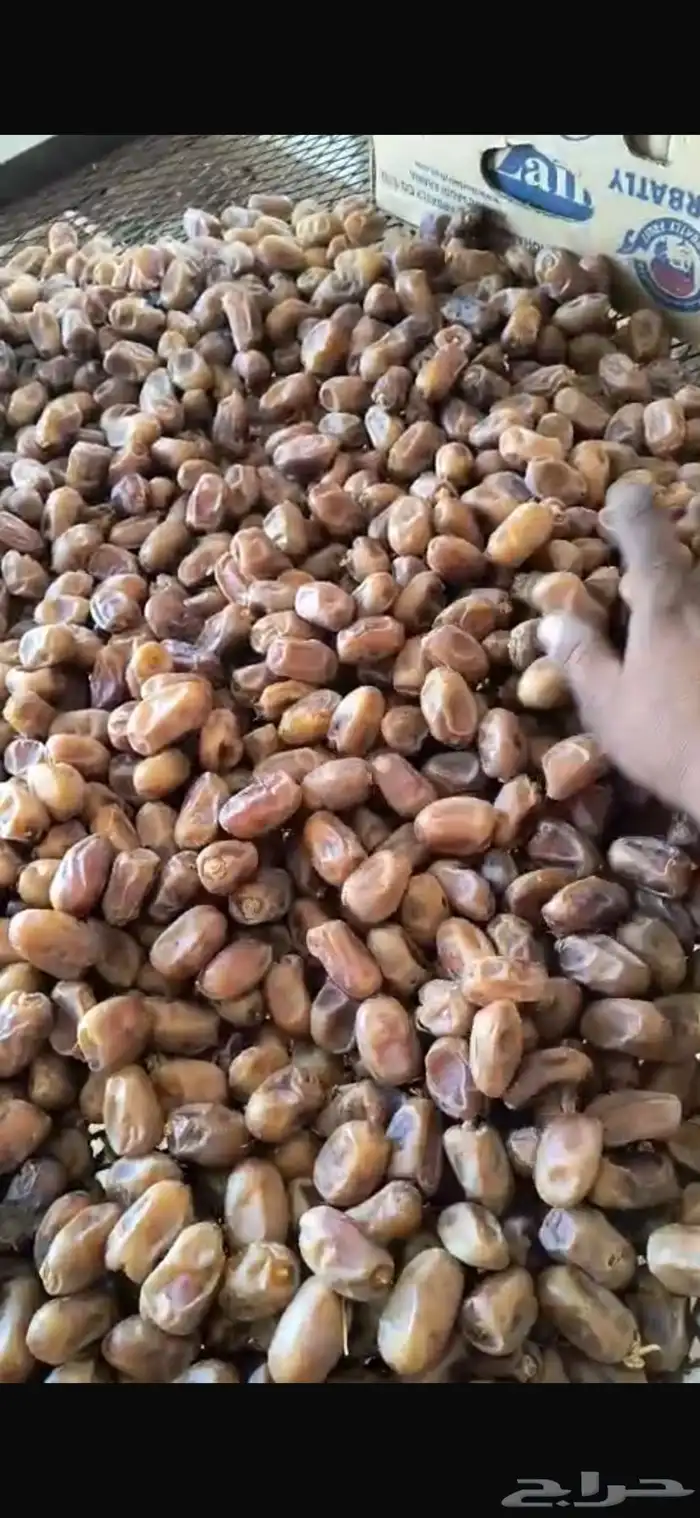 للبيع تمور بأصناف عده 1