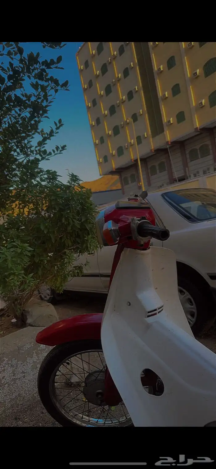 دباب سبعين شمعه مربعه 1