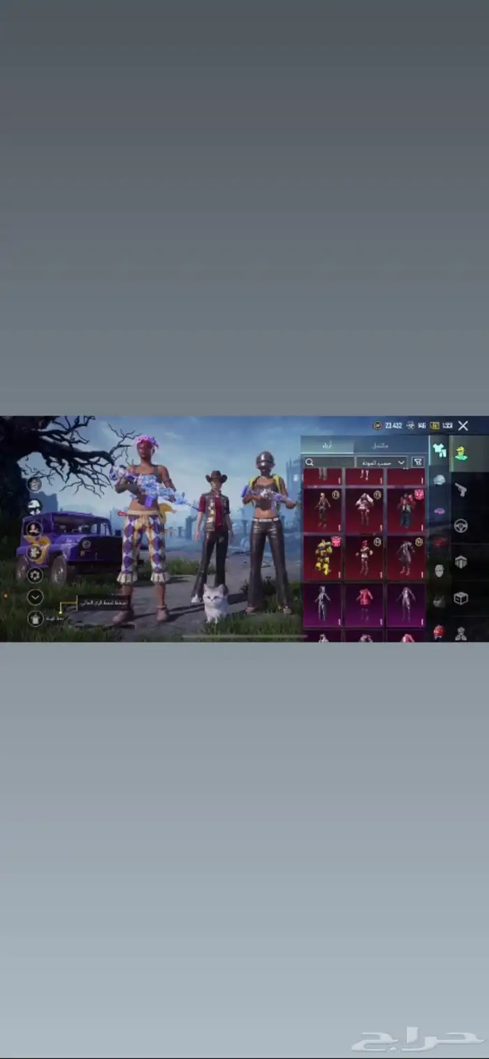 حساب ببجي للبيع على السوم 1