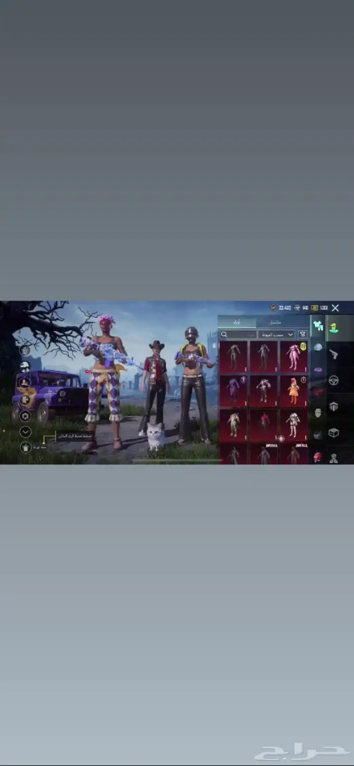 حساب ببجي للبيع على السوم 0