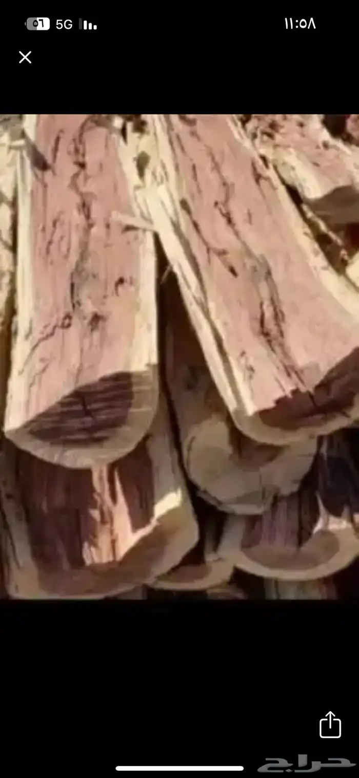 مطلوب حطب سمر موقع الاحساء 0