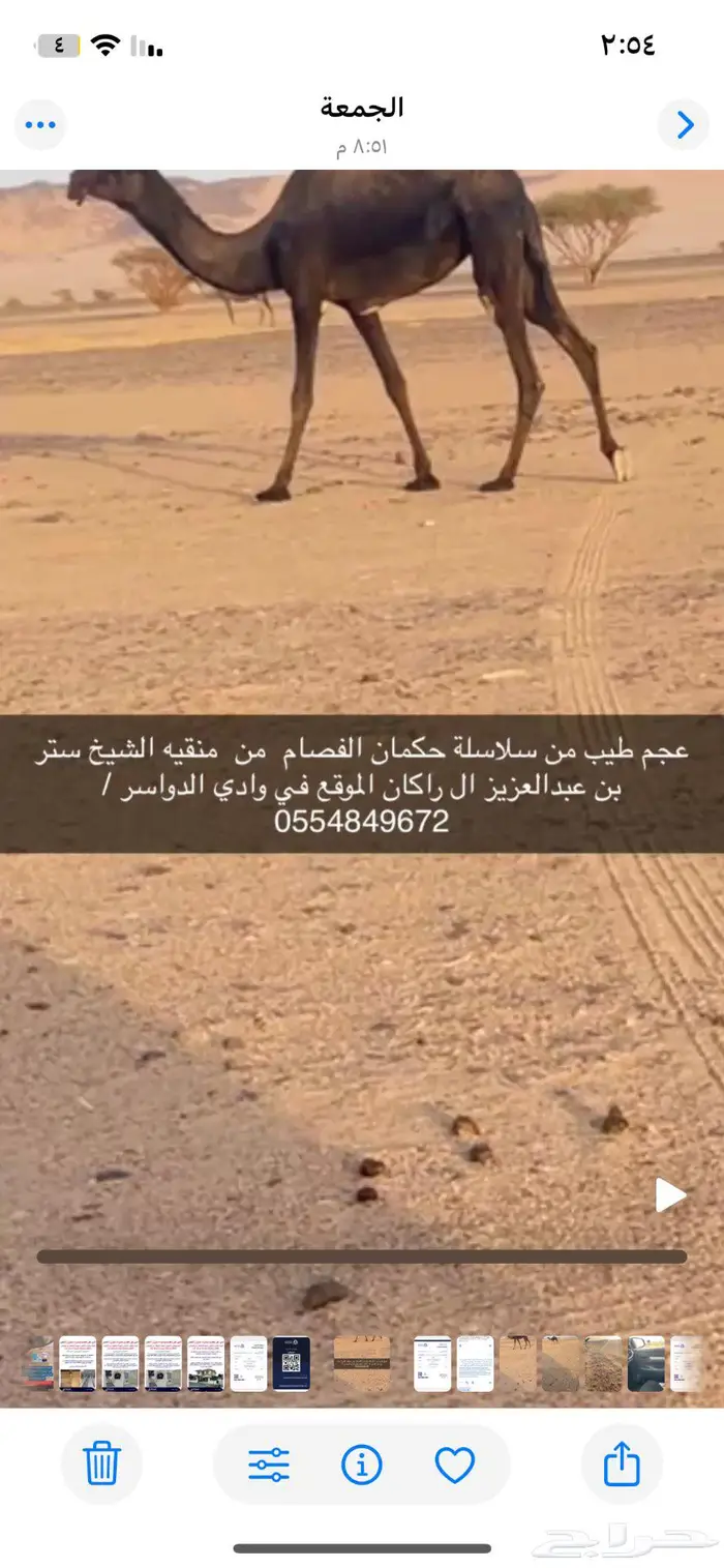 وادي الدواسر 0