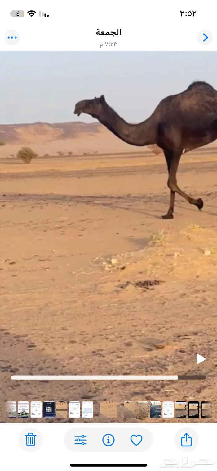 وادي الدواسر 2