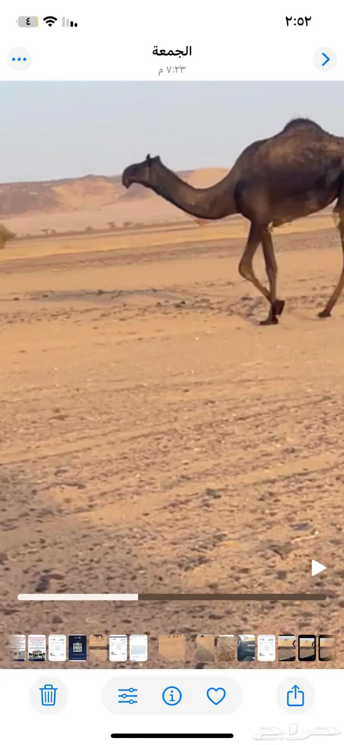 وادي الدواسر 3