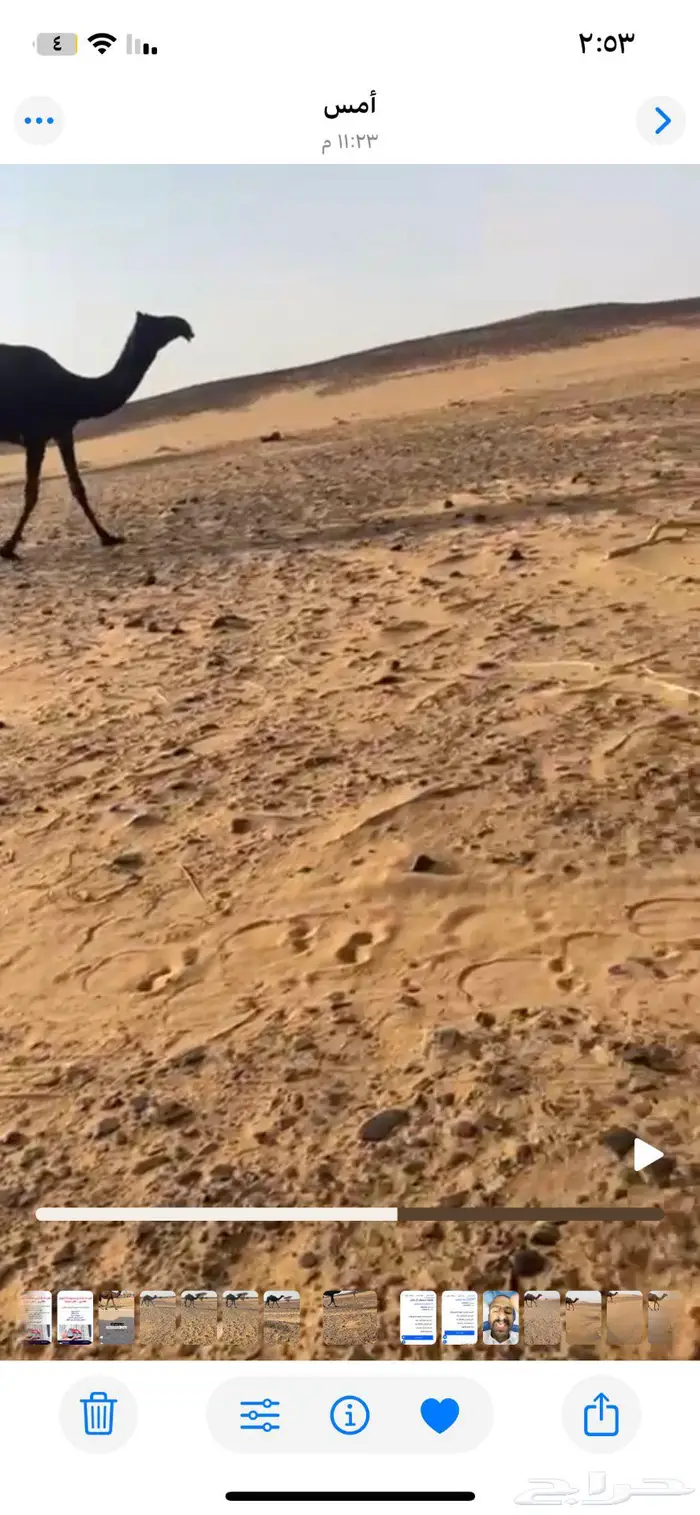 وادي الدواسر 6
