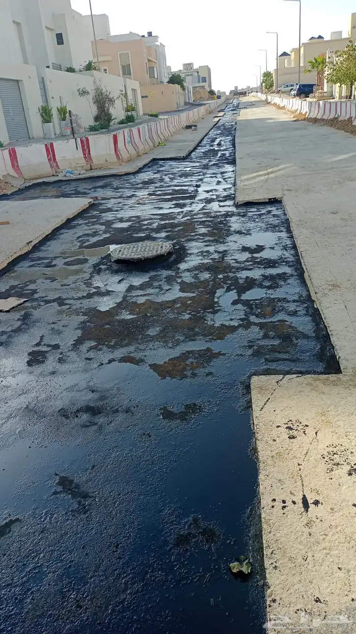 وايت ام سي وان RC2 Mc1 عازل 2