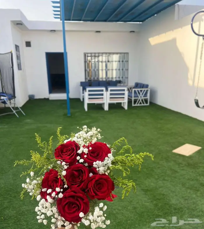 شاليهات هاف داي 0