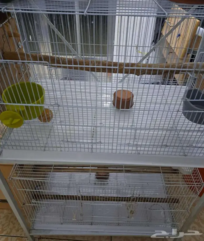 أستاند وأقفاص 610 مع البياضات (( تم البيع )) 3