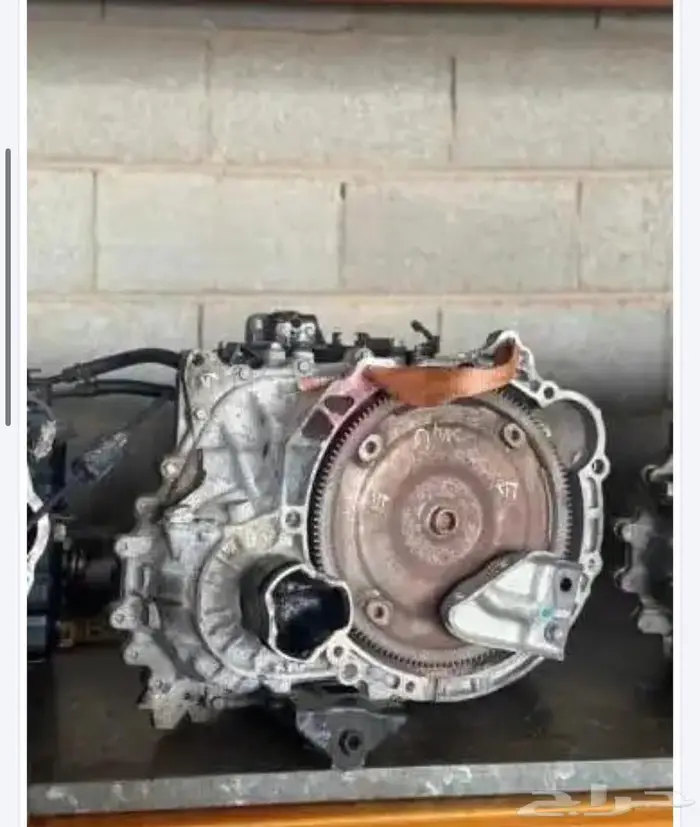 انواع بشكل عام 2