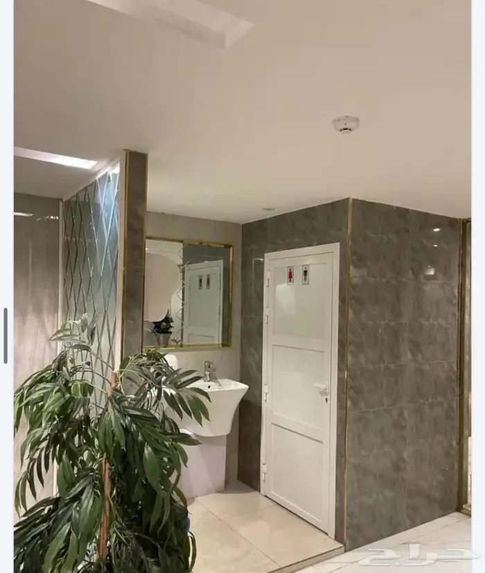 مطعم جاهز للتقبيل 3