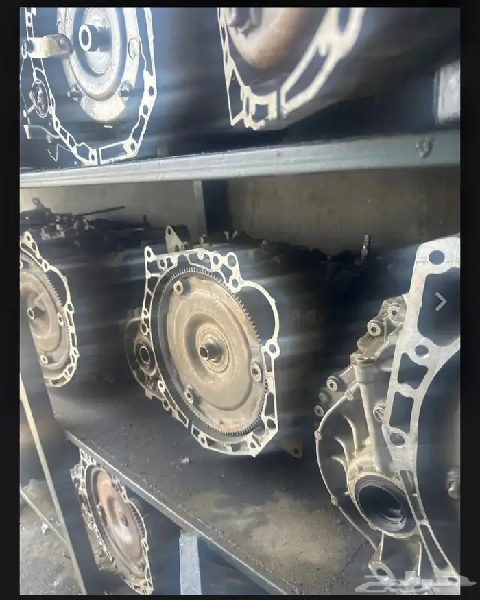 انواع بشكل عام 1