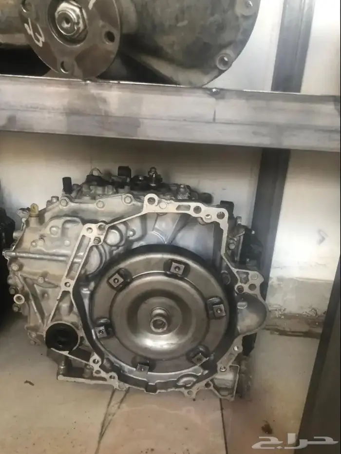 انواع بشكل عام 3