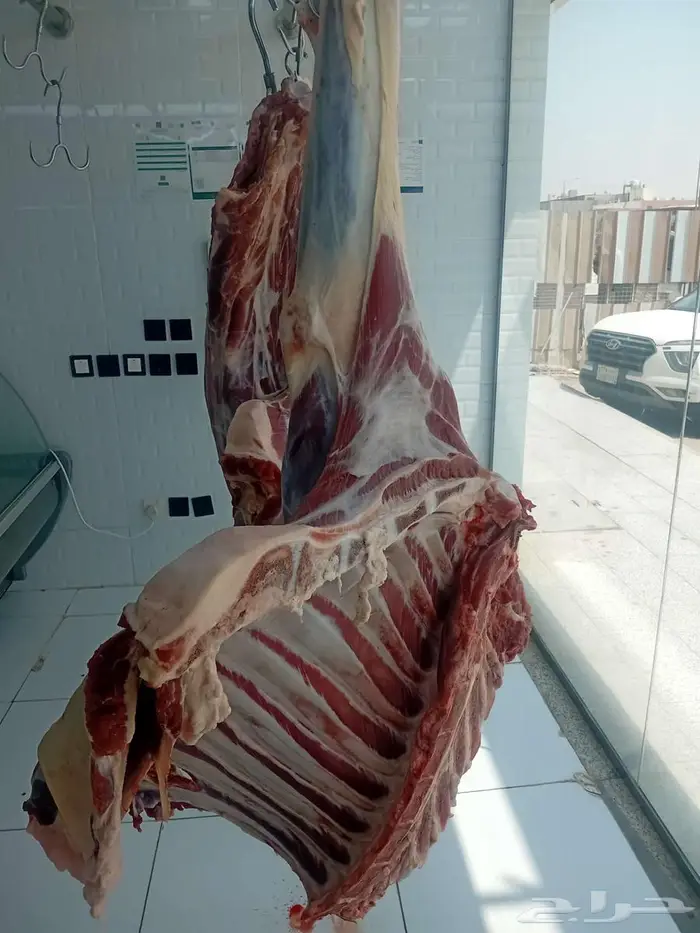 ضاحيه لبن شارع نجد 0