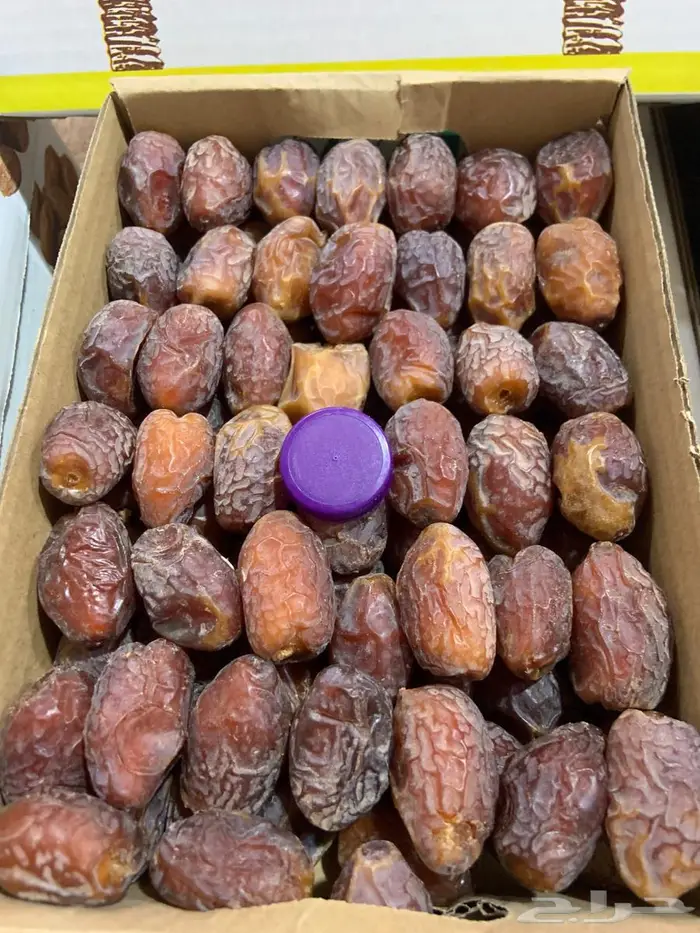 تمر منيفي نظيف وطيب 0