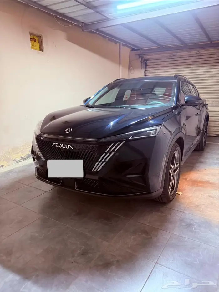 دوينغ فينغ ميج 2025 0