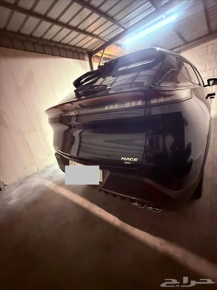 دوينغ فينغ ميج 2025 4