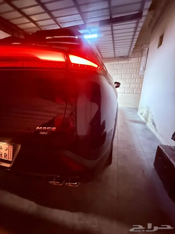 دوينغ فينغ ميج 2025 8