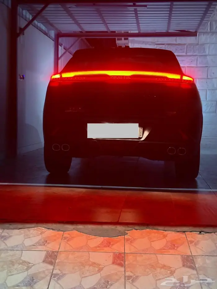 دوينغ فينغ ميج 2025 7