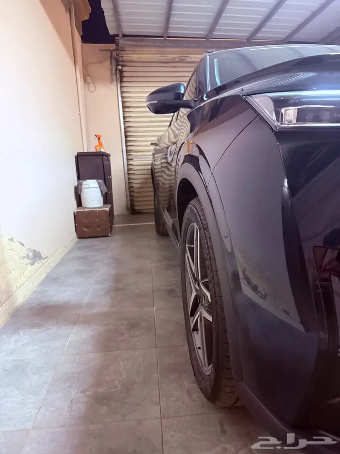 دوينغ فينغ ميج 2025 2