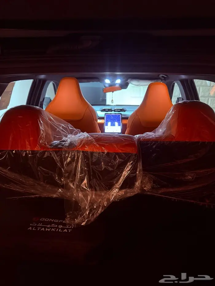 دوينغ فينغ ميج 2025 15