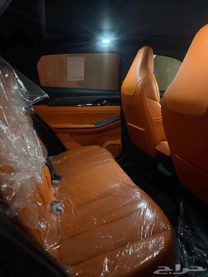 دوينغ فينغ ميج 2025 16