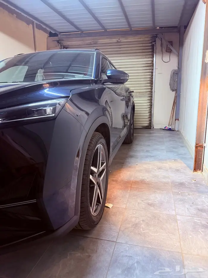 دوينغ فينغ ميج 2025 3