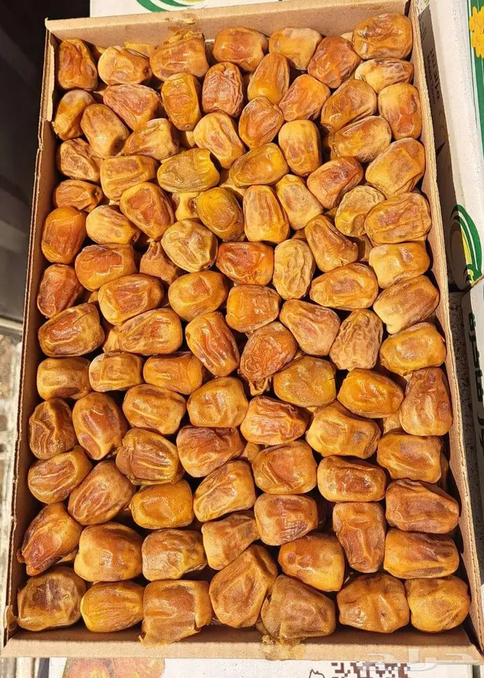 تمر مفتل فاخر انتاج السنة 1447 1