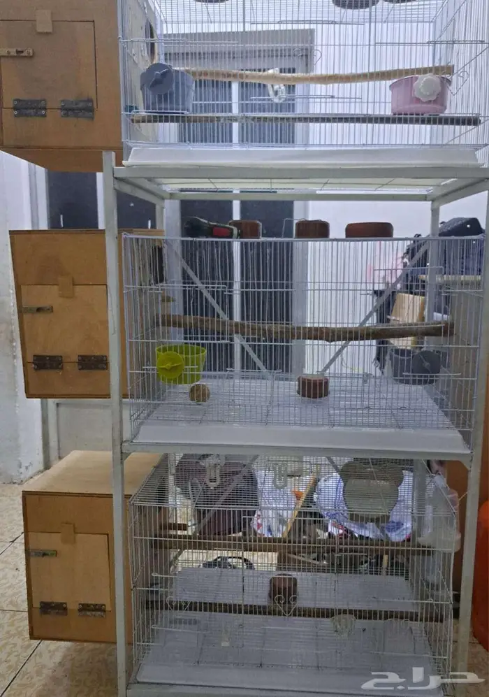 أستاند وأقفاص 610 مع البياضات (( تم البيع )) 2