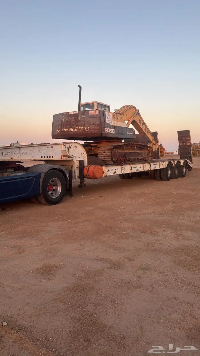 لوبد متواجد في القصيم 0