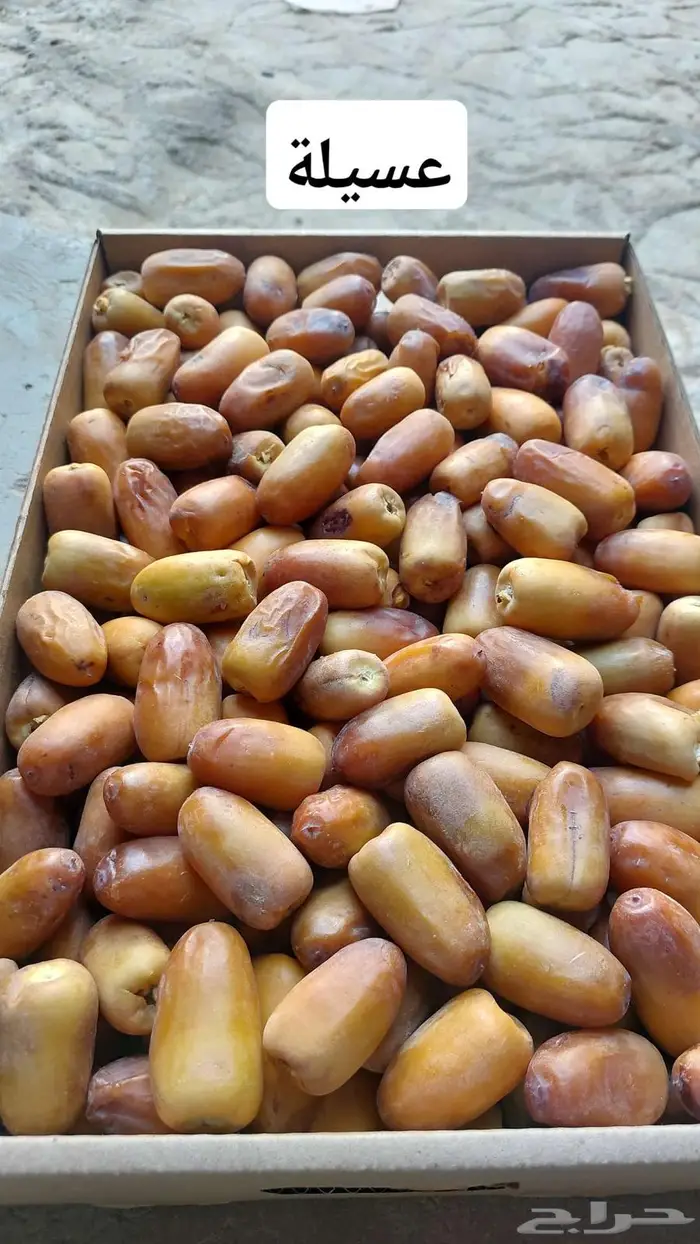 نوايع تمور 5