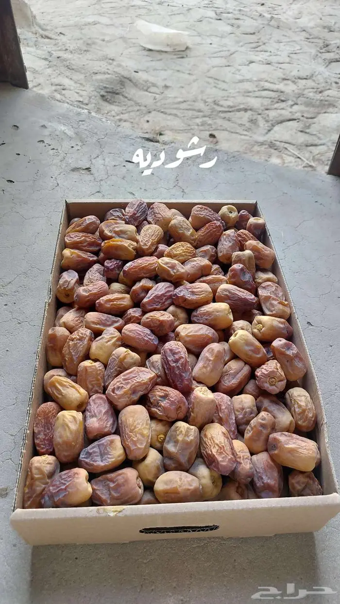 نوايع تمور 1
