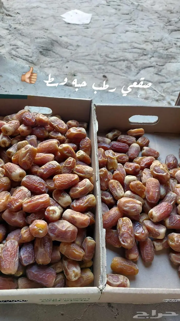 نوايع تمور 6