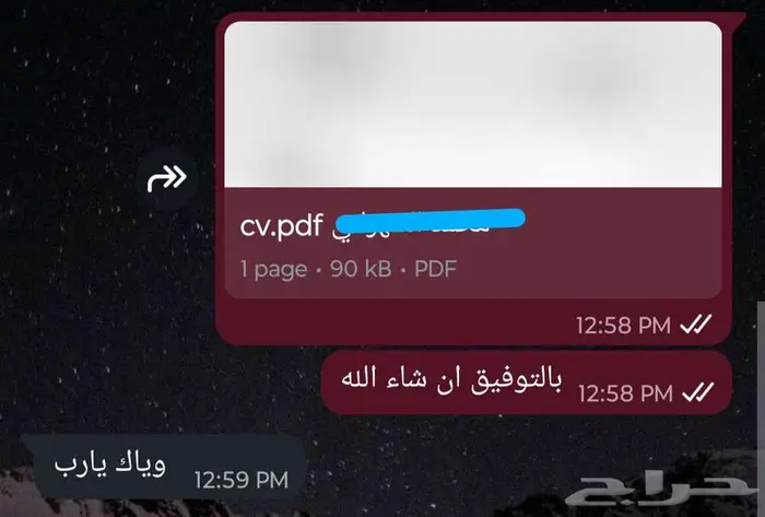 سيرة ذاتية (C.V) متوافقة مع أنظمة التوظيف (ATS) بسعر رمزي. 3
