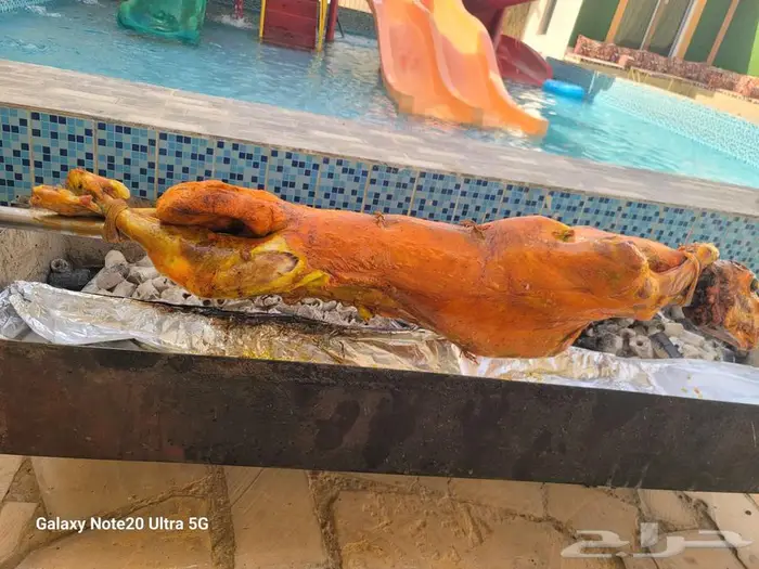 خروف مشوي علا الجمر 4