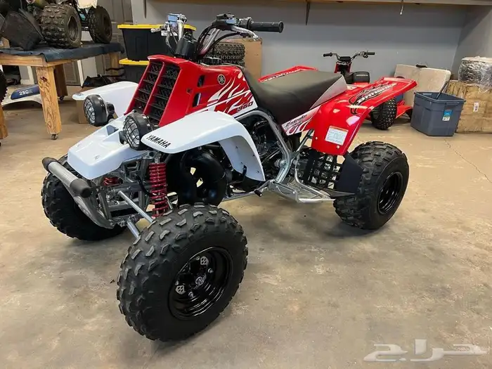 مطلوووب بانشي 0