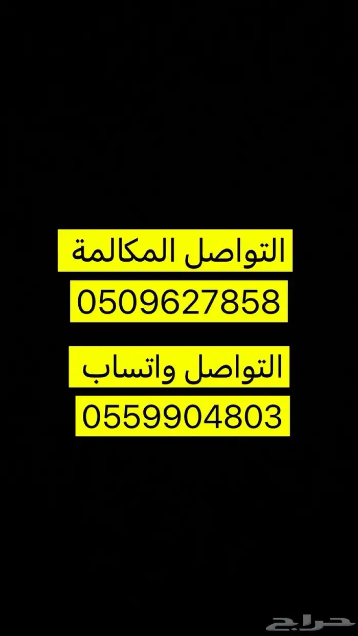كلاب جيرمن و هاسكي . 0