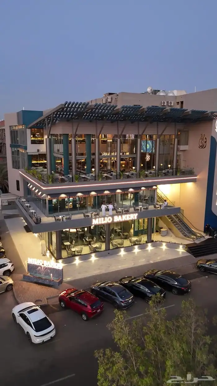 مصور درون وفديو 21