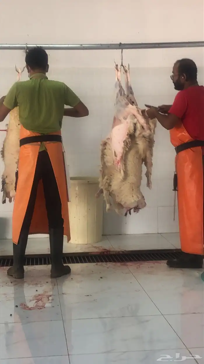 ذبايح 1