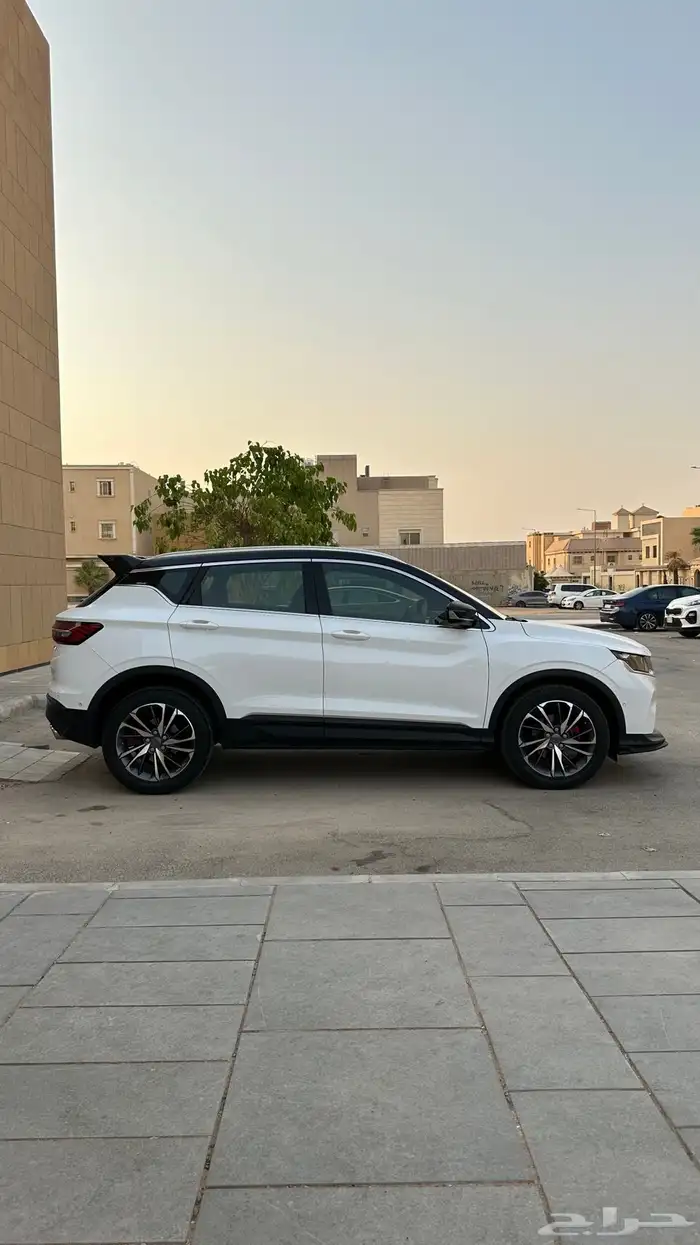 تم البيع 7