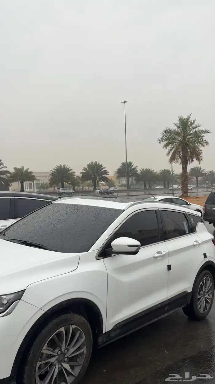 جيلي كولراي 2020 0