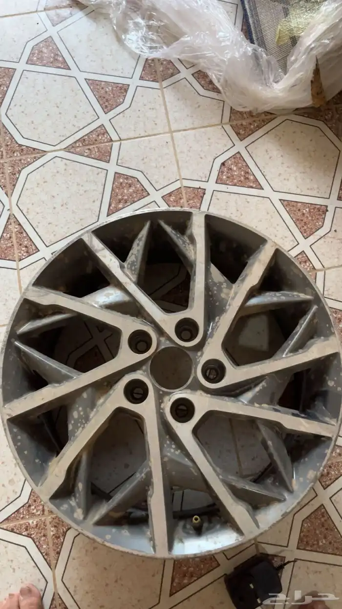 جنوط انترا 0