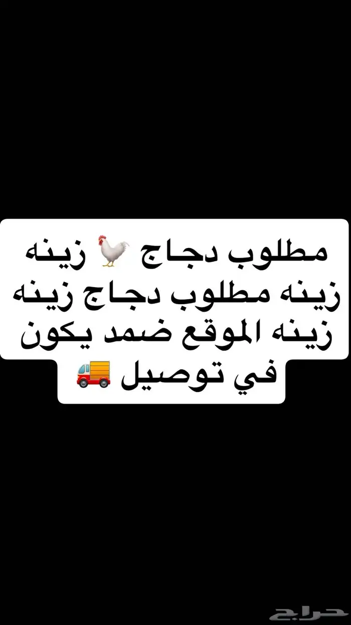 مطلوب دجاج   زينه زينه يكون في توصيل الموقع ضمد دجاج زينه 1