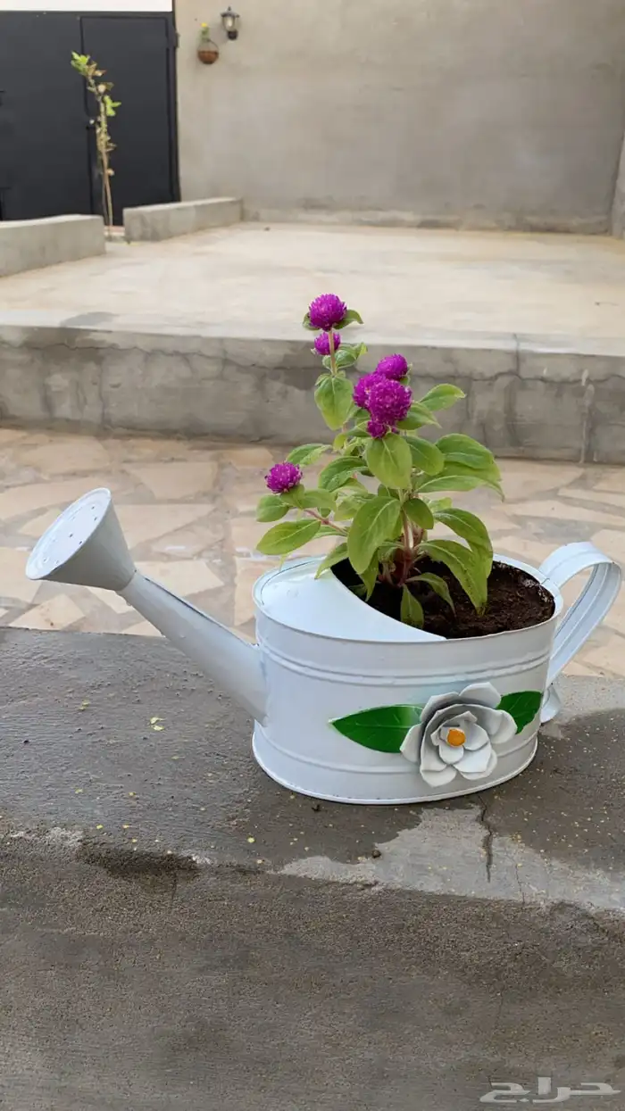 ورد بأصيص مميز 5