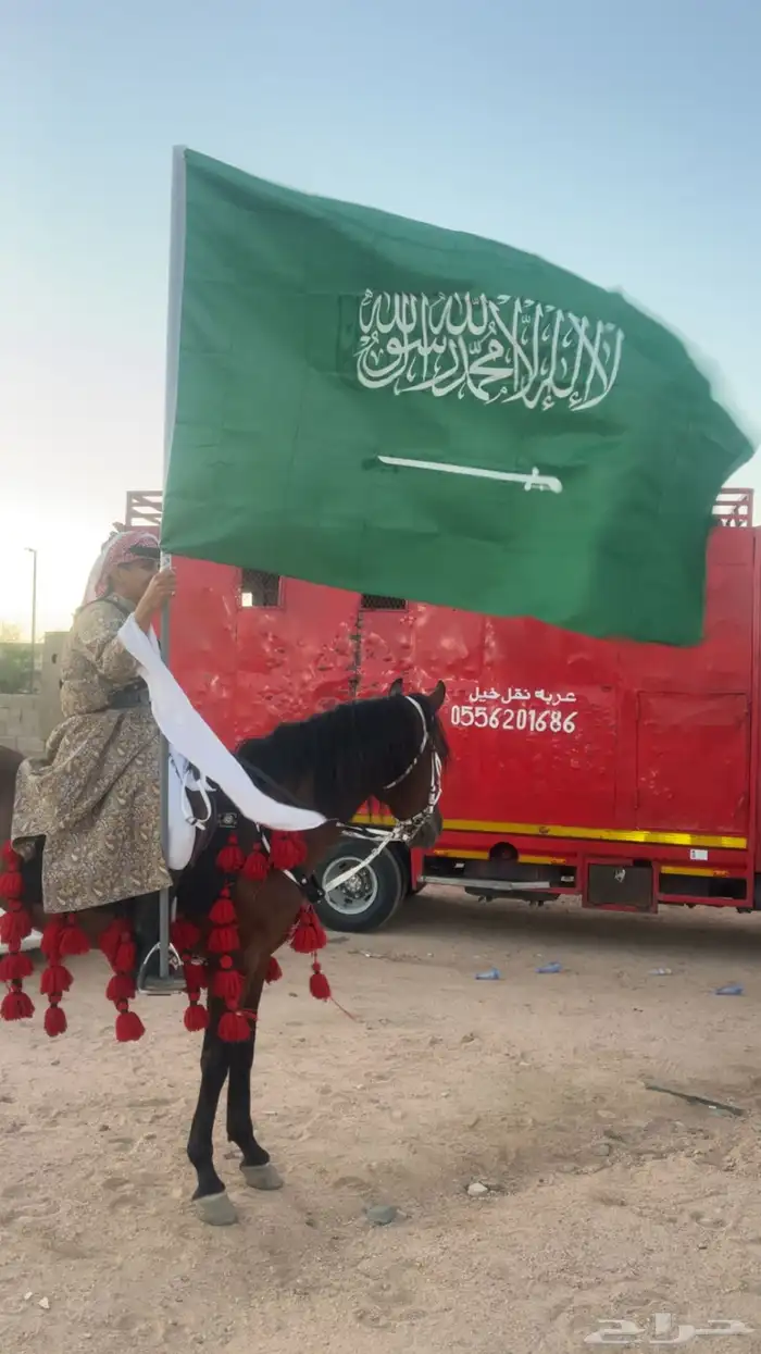 عربه نقل خيل متواجدة بجدة مكه الطايف 0