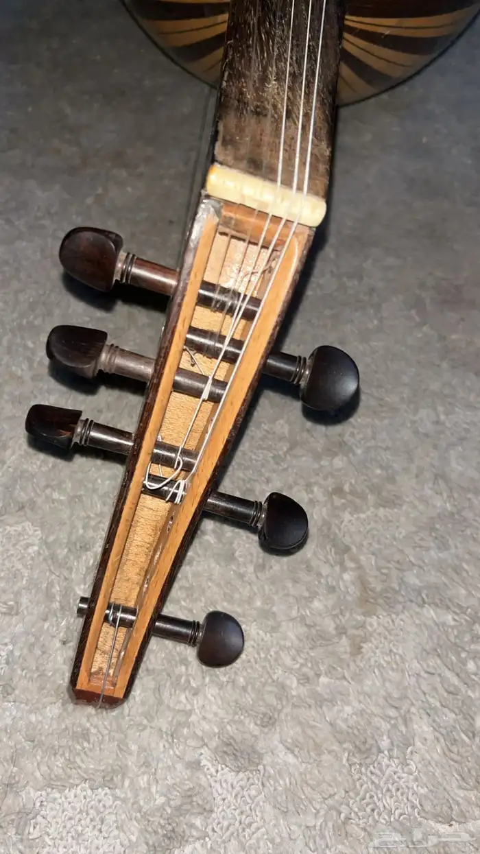 عود للبيع 1