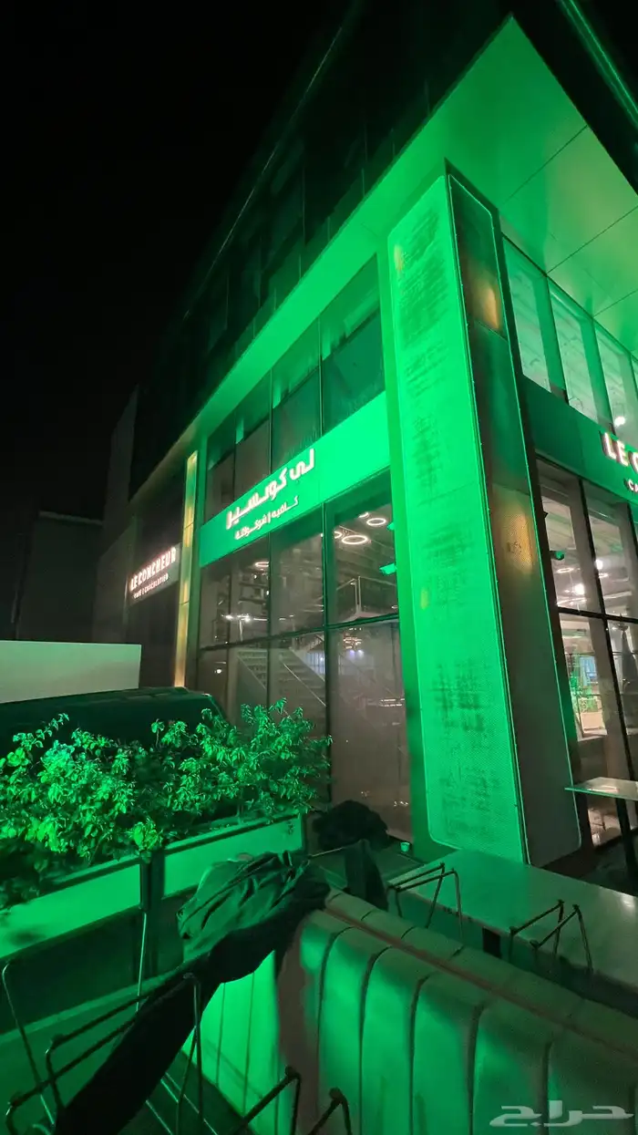 سيتي كلر كشاف حفل اليوم الوطني 2