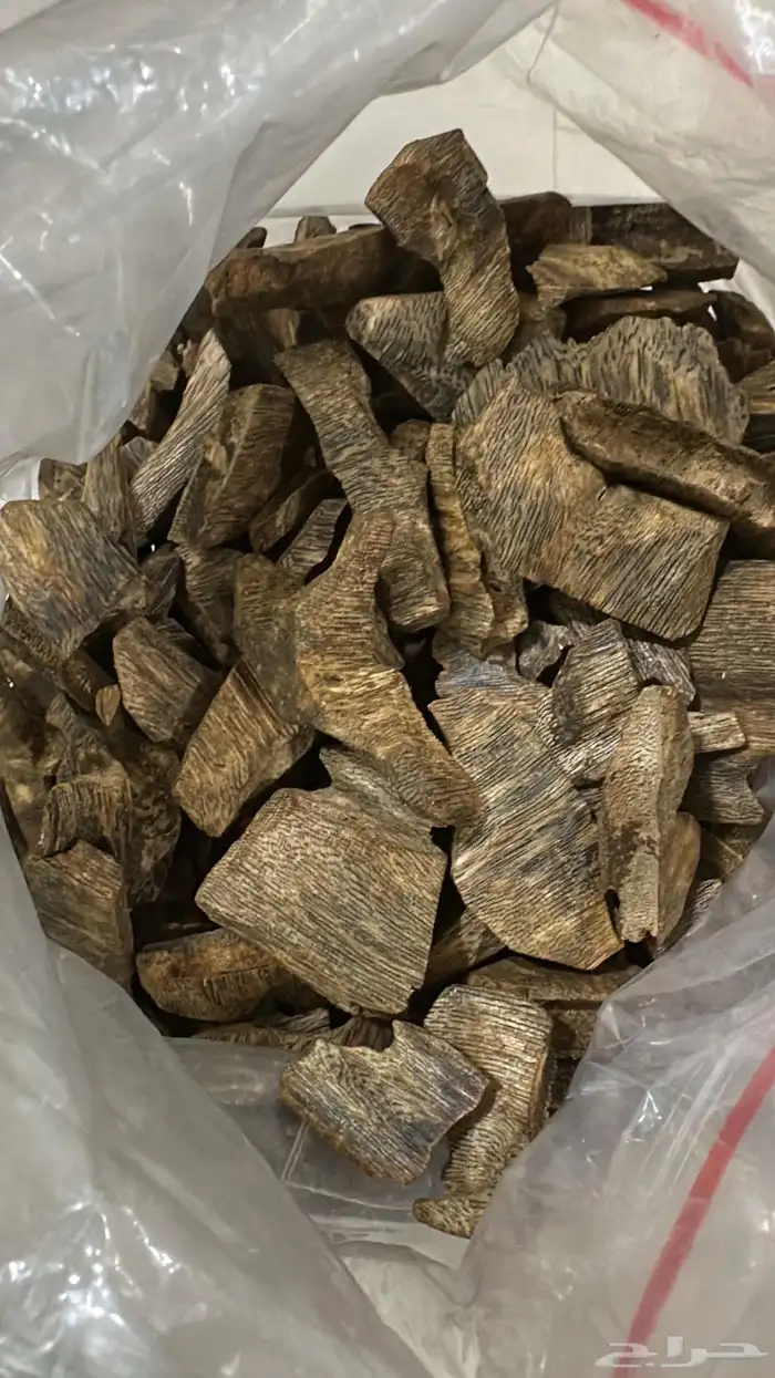 عود كينام الطبيعي اعلى الجودات لدينا دبل سوبر جودة فائقة 3