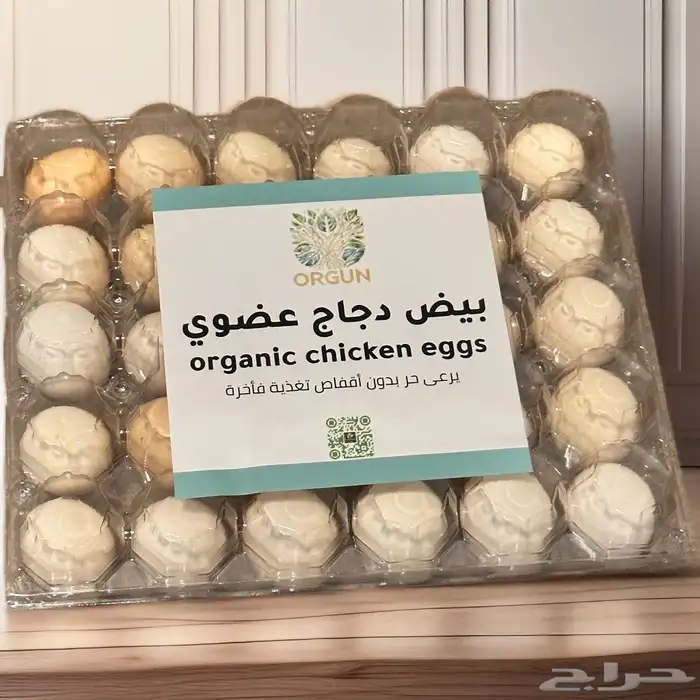 بيض دجاج بلدي عضوي ( مرعى حر ) 1