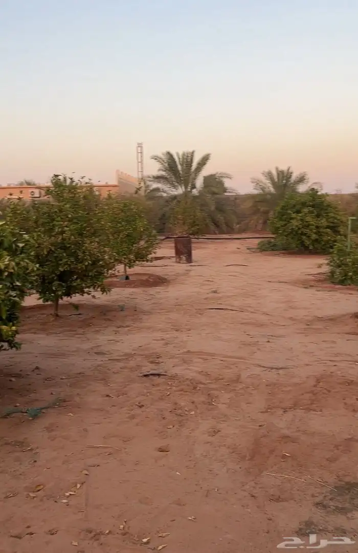 رياض الخبراء 5